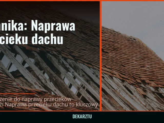 Technika: Naprawa przecieku dachu