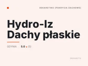 Hydro-Iz Dachy płaskie