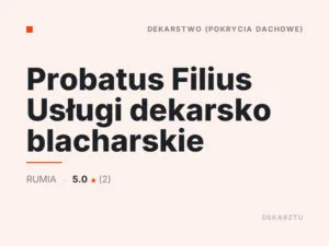 Probatus Filius Usługi dekarsko blacharskie