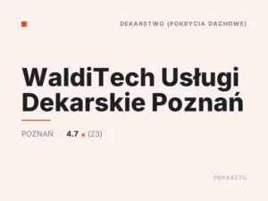 WaldiTech Usługi Dekarskie Poznań