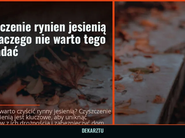 Czyszczenie rynien jesienią — dlaczego nie warto tego odkładać