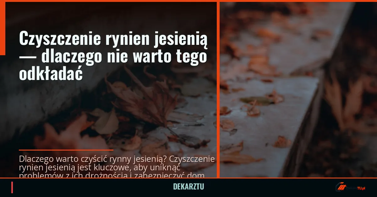 Czyszczenie rynien jesienią — dlaczego nie warto tego odkładać