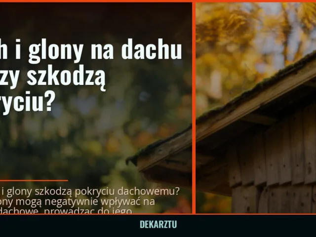 Mech i glony na dachu — czy szkodzą pokryciu? — DekarzTU