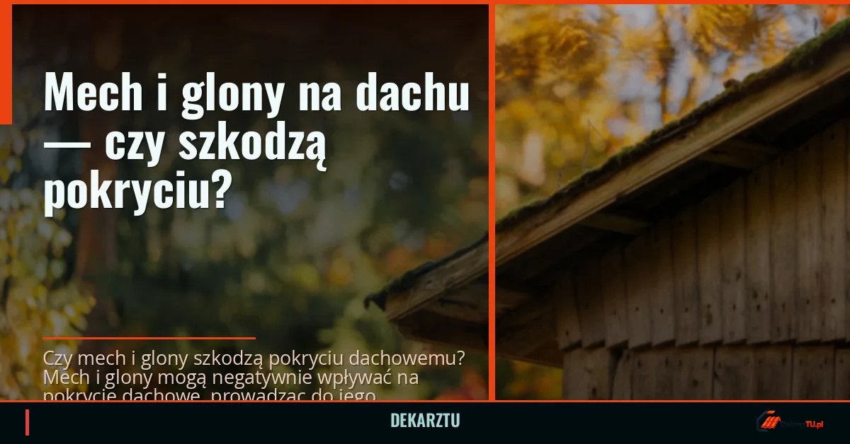 Mech i glony na dachu — czy szkodzą pokryciu?