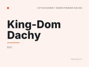 King-Dom Dachy