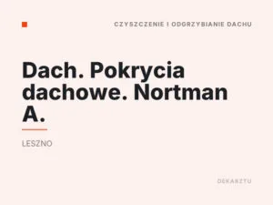 Dach. Pokrycia dachowe. Nortman A.