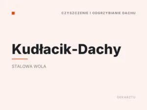 Kudłacik-Dachy