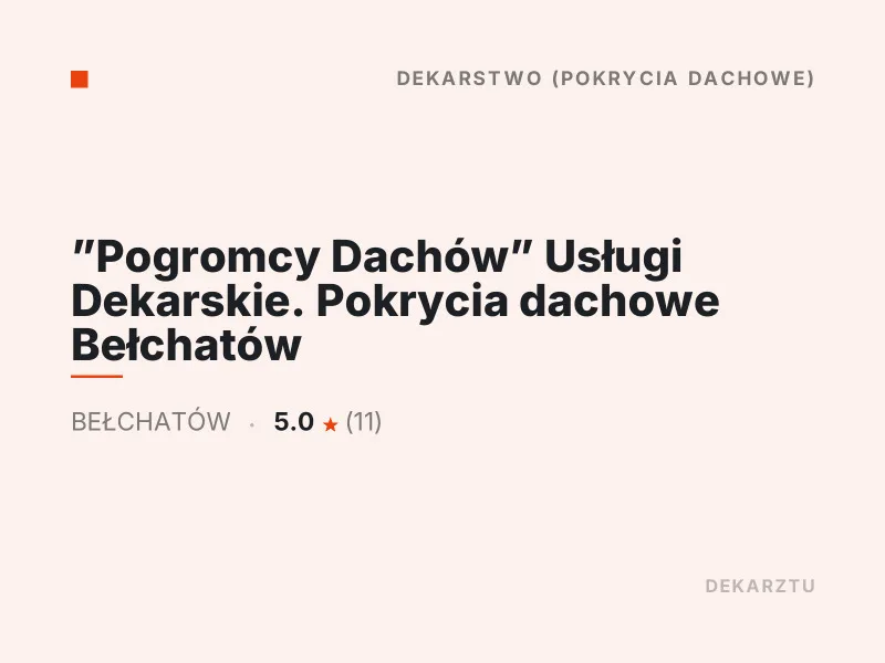 Pogromcy Dachów Usługi Dekarskie Czyszczenie i odgrzybianie dachu Bełchatów
