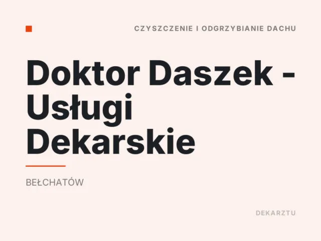 Doktor Daszek – Usługi Dekarskie