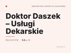 Doktor Daszek – Usługi Dekarskie