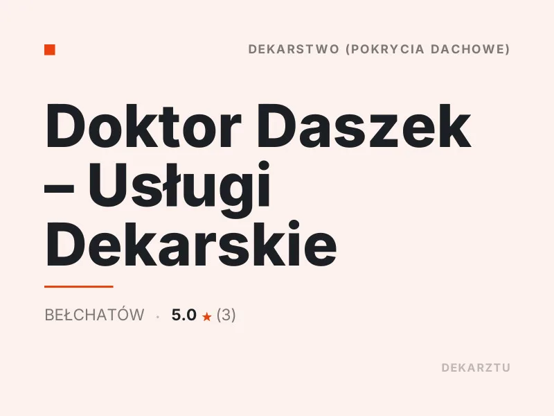 Doktor Daszek Usługi Dekarskie Czyszczenie i odgrzybianie dachu Bełchatów