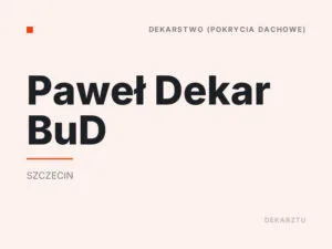 Paweł Dekar BuD