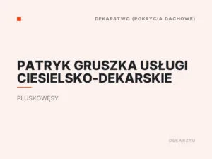 Patryk Gruszka Usługi Ciesielsko-Dekarskie