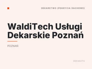 WaldiTech Usługi Dekarskie Poznań